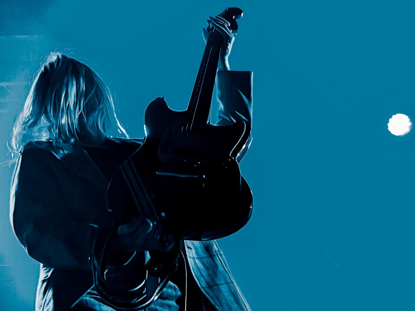 REQUIN CHAGRIN - À la CLEF